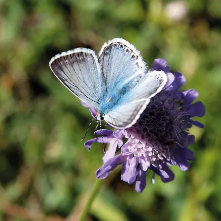 Σπίτι διακοπών Zum Stolpseefischer By Interhome