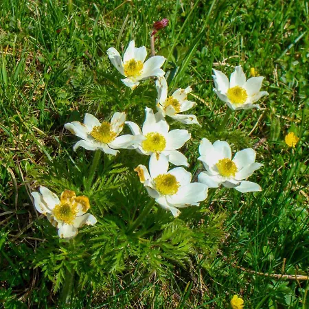 بيت للعطل Zum Stolpseefischer By Interhome *