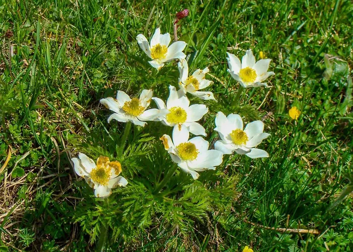 بيت للعطل Zum Stolpseefischer By Interhome *